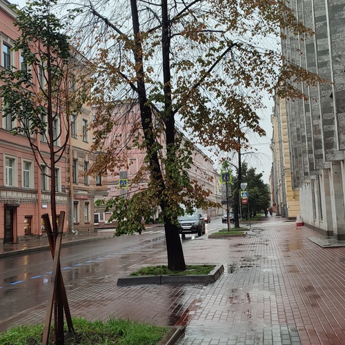 Photo #14073213