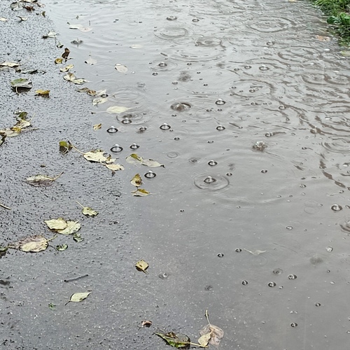 Photo #14073214