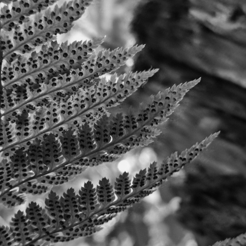 Photo #14073223