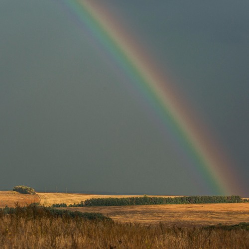 Photo #14073258