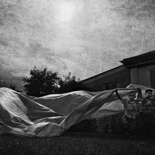 Photo #14073261