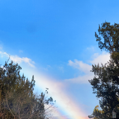 Photo #14073295
