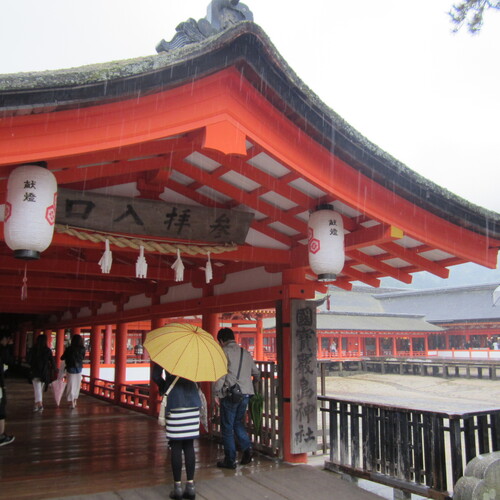 Photo #14073303