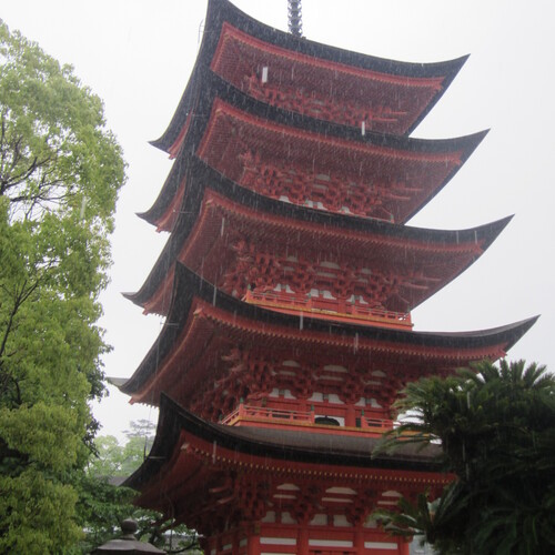 Photo #14073306