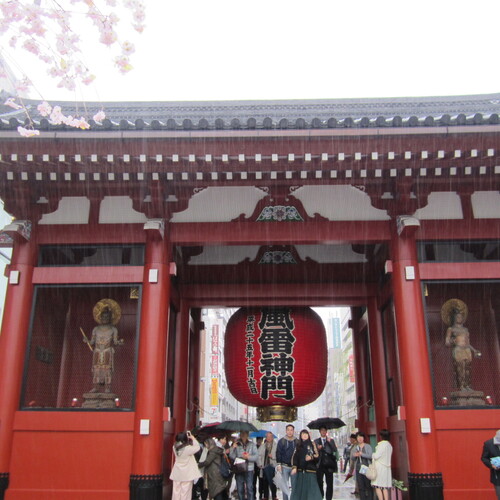 Photo #14073327