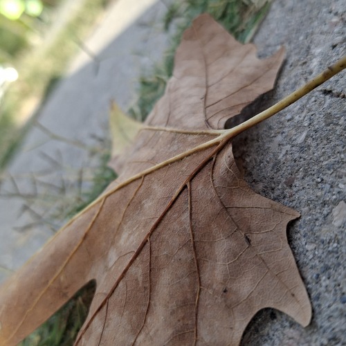 Photo #14073368