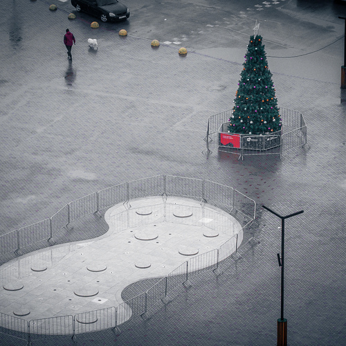 Photo #14073448