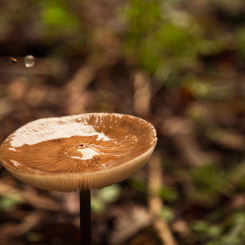 Photo #14073464