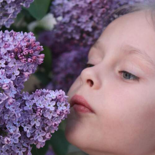 Photo #14073471