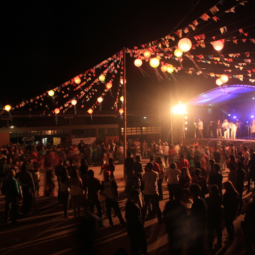 Photo #14073483