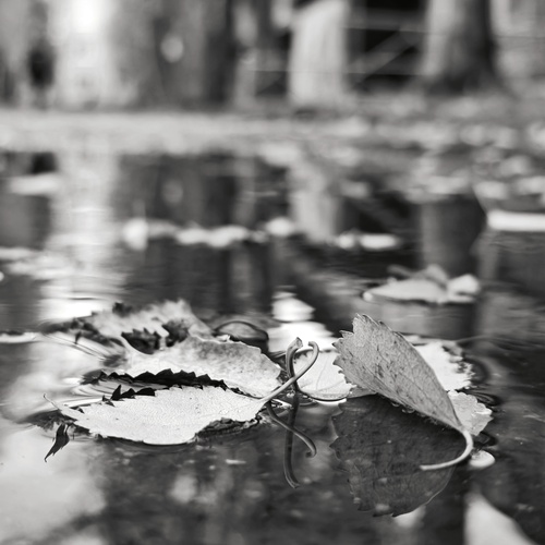 Photo #14073485