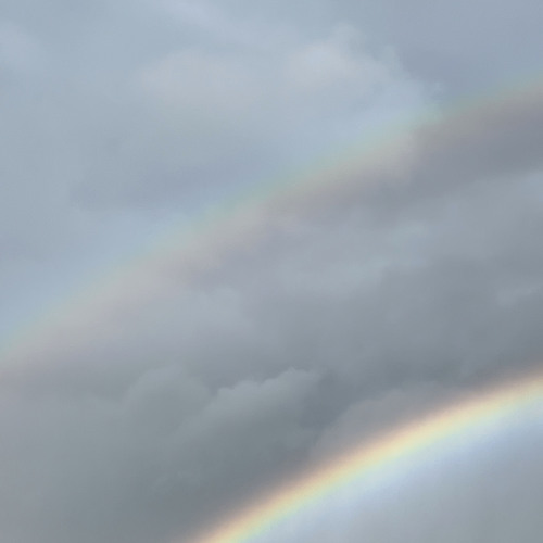 Photo #14073526