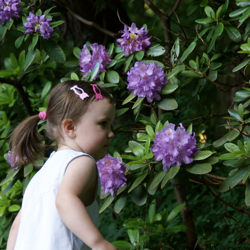 Photo #14073780