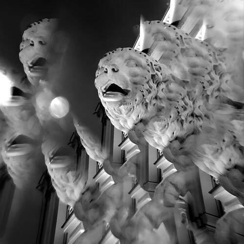 Photo #14073786