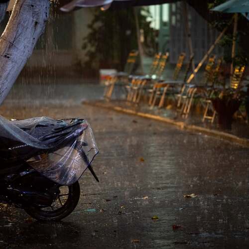Photo #14073915