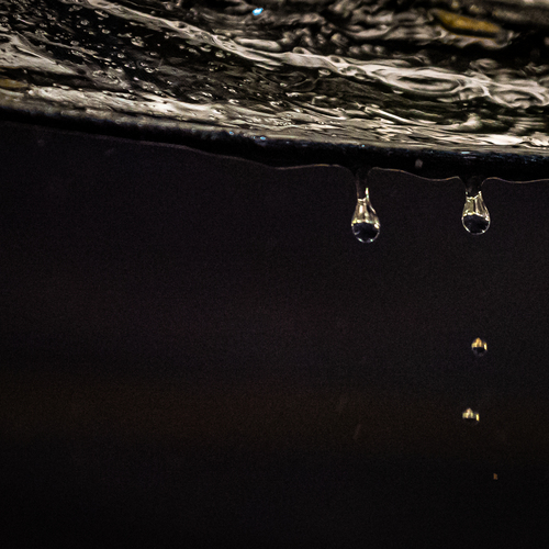 Photo #14073916