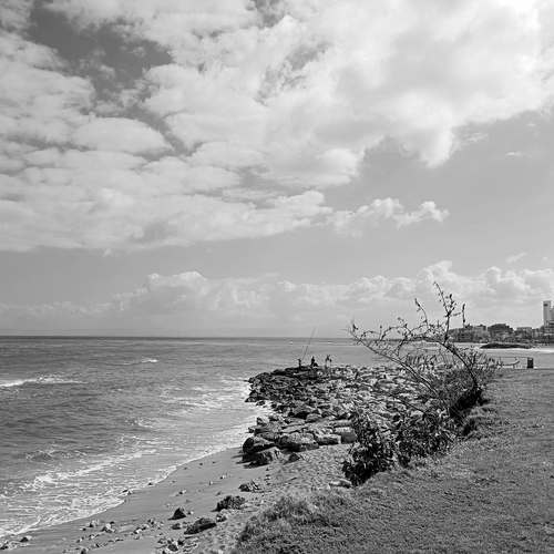 Coastal landscape