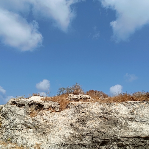 Photo #14073983