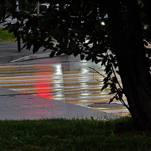 Photo #14074024