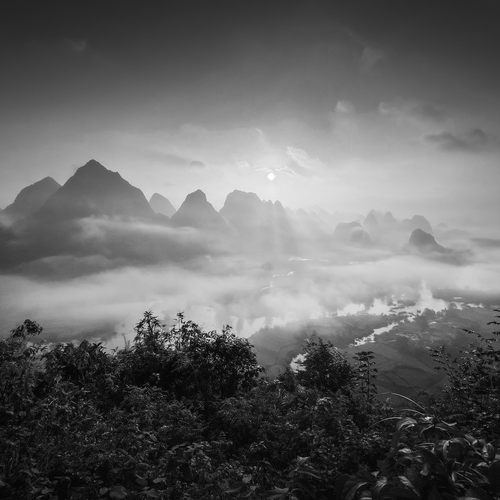 Photo #14074254