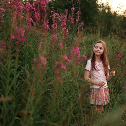 Photo #14074340