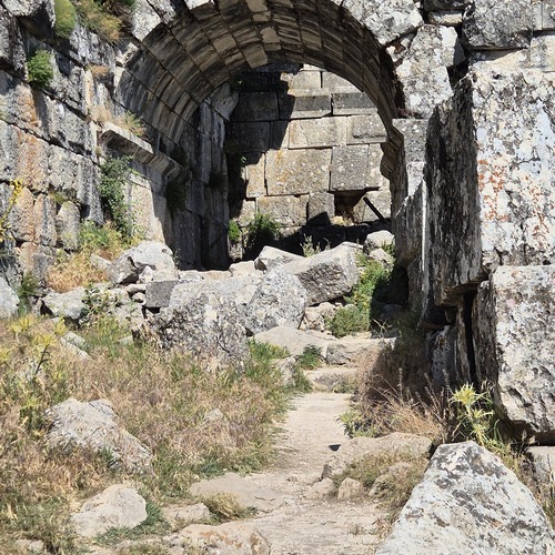 Photo #14074379