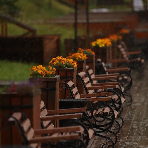 Photo #14074414