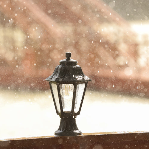 Photo #14074415