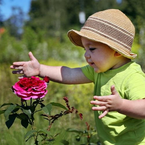 Photo #14074425