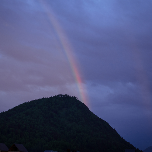 Photo #14074434