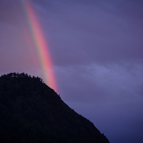 Photo #14074435