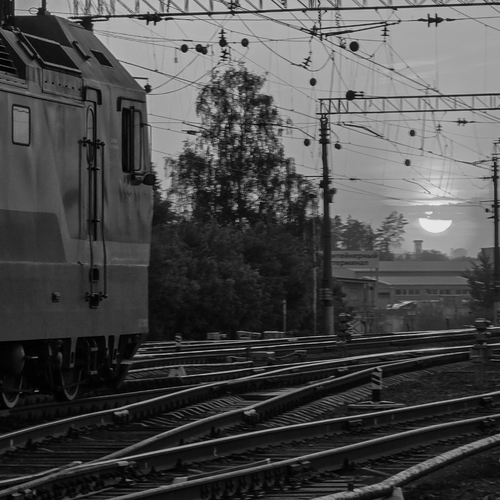 Photo #14074529