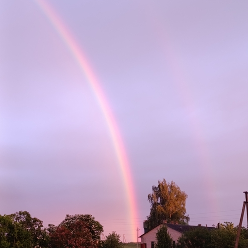Photo #14074540