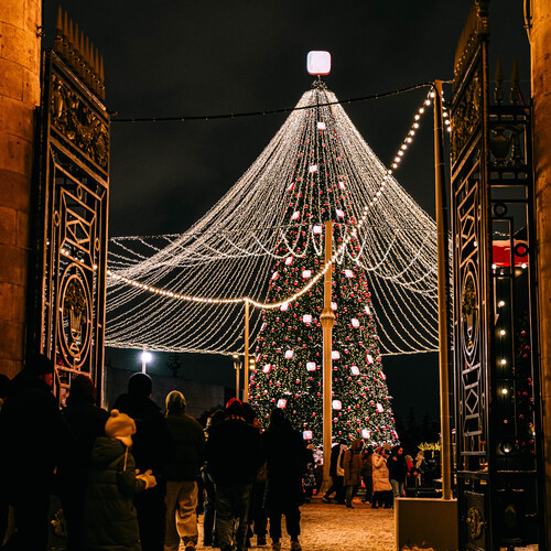 Photo #14074549