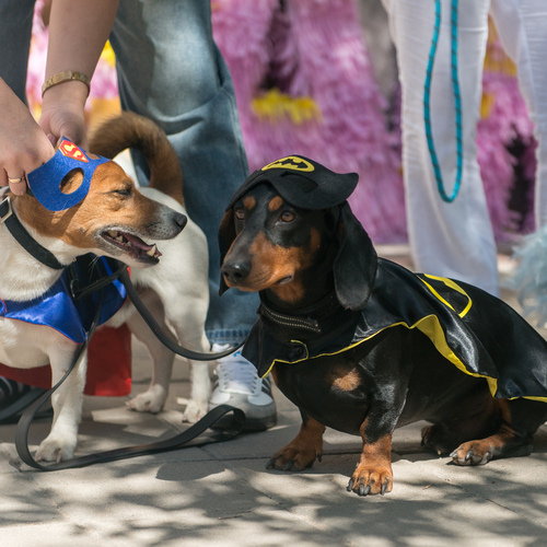 Photo #14074559
