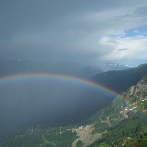 Photo #14074671