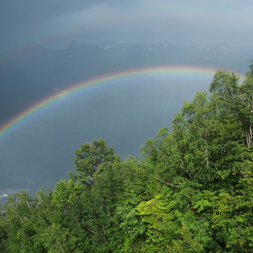 Photo #14074673