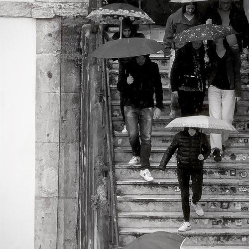 Photo #14074736