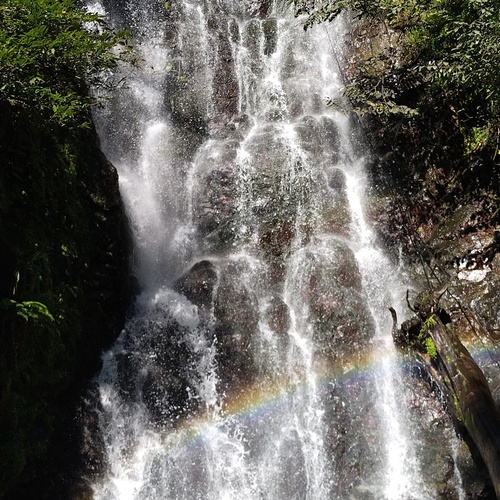 Photo #14074761