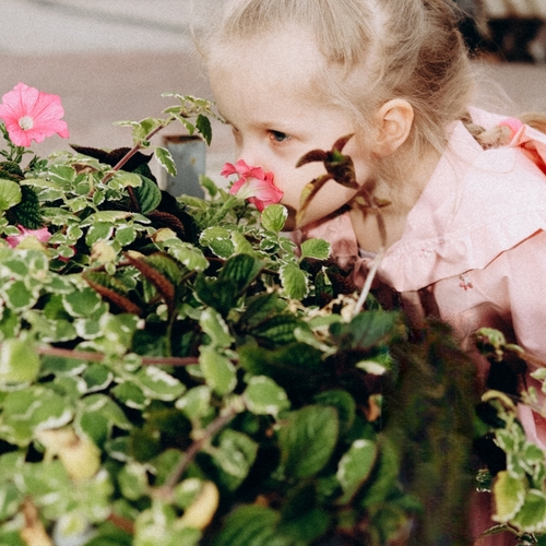 Photo #14074766