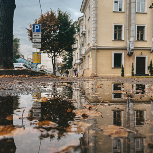 Photo #14074771