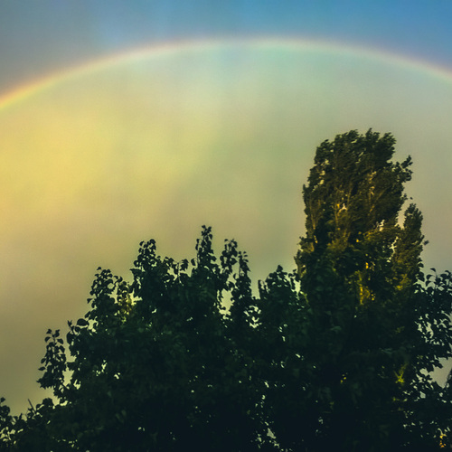 Photo #14074792