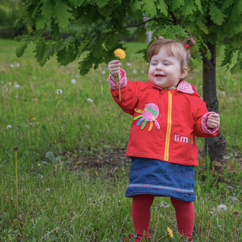 Photo #14074833