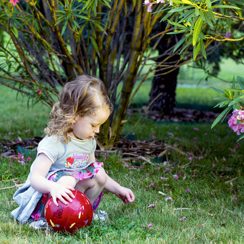 Photo #14074943