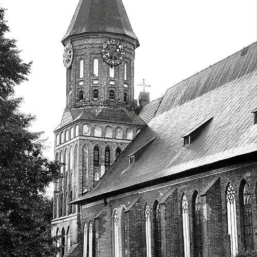 Photo #14075104