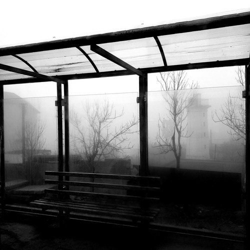 Черно-белый туман.