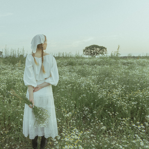 Photo #14075539