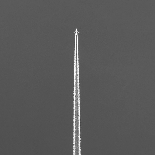 Photo #14075608