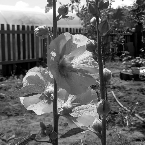 Photo #14075673