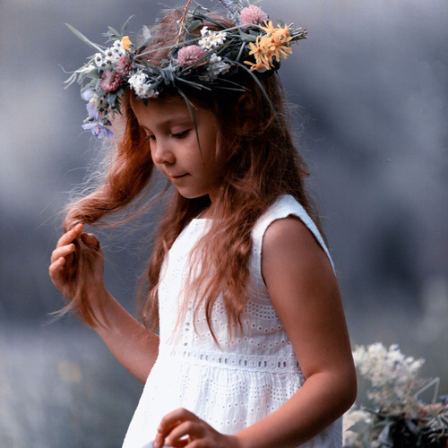 Photo #14075726